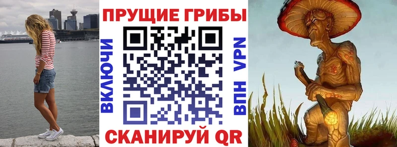 Псилоцибиновые грибы GOLDEN TEACHER  Светогорск 