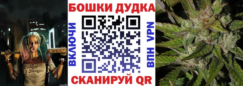 блэк спрут маркетплейс  купить наркоту  Светогорск  Канабис конопля 